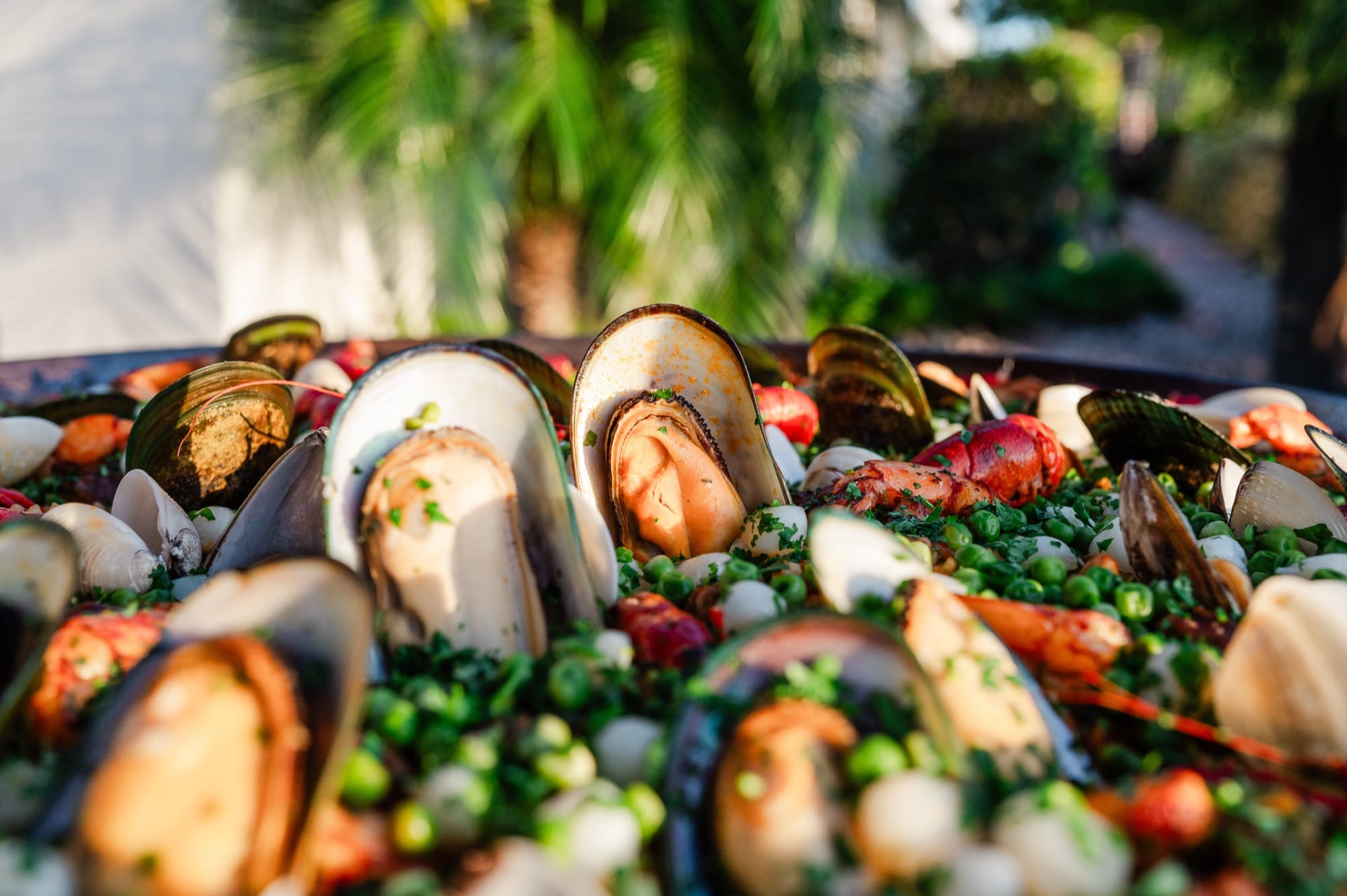 A seafood paella piled with mussels and lobster